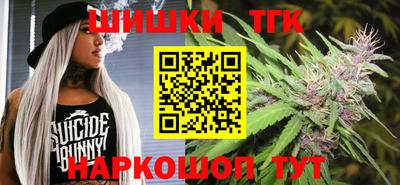 ешки Сланцы