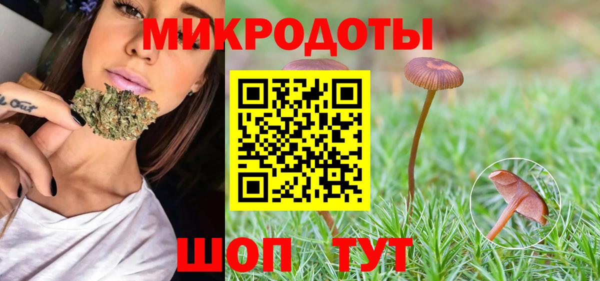 Галлюциногенные грибы GOLDEN TEACHER Рузаевка