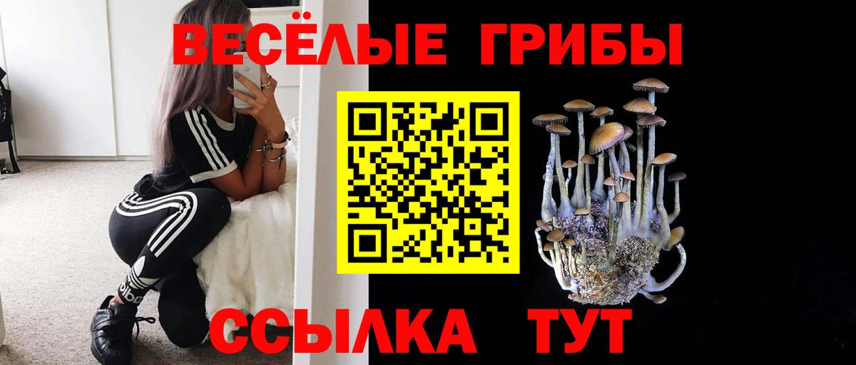 наркотики  Вход с VPN  Рузаевка  Псилоцибиновые грибы GOLDEN TEACHER 